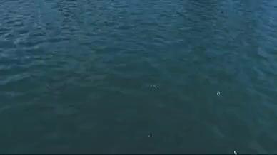 建筑群天鹅湖水面航拍视频的预览图